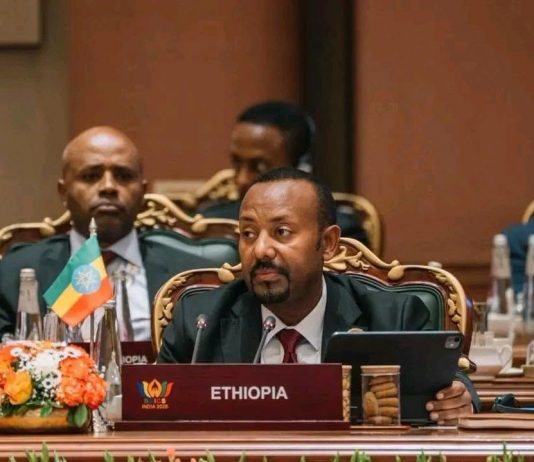 የኢትዮጵያ ዓለም አቀፍ መታወቂያ፦የጋራ ዕድገት እና ተጠቃሚነት ላይ የጸናው ዲፕሎማሲ።