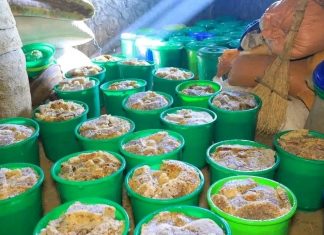 ባለፉት አምስት ዓመታት በሌማት ትሩፋት ምን መሠረታዊ ለውጥ መጣ?