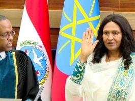 ወይዘሮ አየለች እሸቴ የሕዝብ ተወካዮች ምክር ቤት ምክትል አፈጉባኤ ኾነው ተሾሙ።