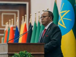 “የነፍጥ አዙሪትን በዘላቂነት ማስቀረት ይገባል” ፕሬዝዳንት ታዬ አጽቀሥላሴ