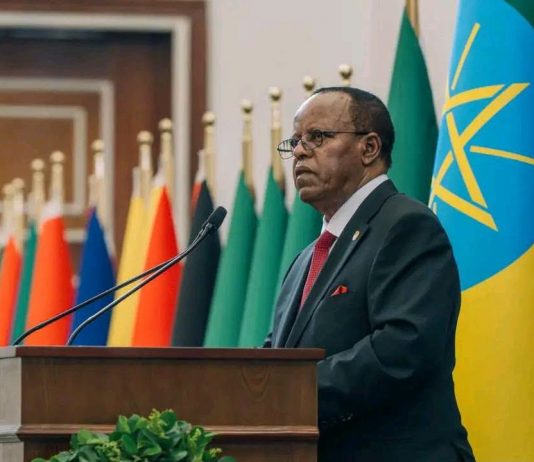“የነፍጥ አዙሪትን በዘላቂነት ማስቀረት ይገባል” ፕሬዝዳንት ታዬ አጽቀሥላሴ