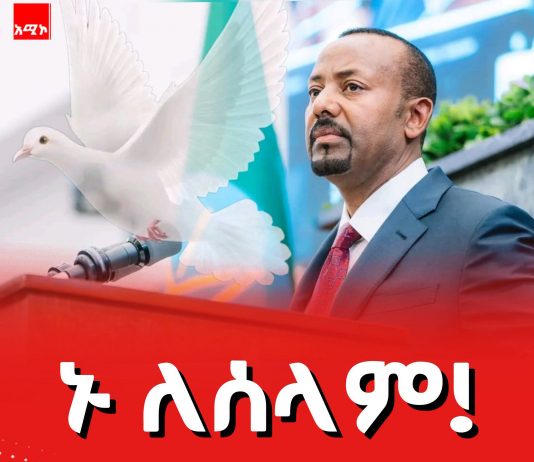 “በጫካ ያላችሁ ኢትዮጵያውያን ወገኖች ወደ ሰላማዊ መንገድ ኑ”