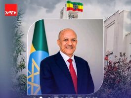 አቶ ተመስገን ጥሩነህ የኢፌዴሪ ምክትል ጠቅላይ ሚኒስትር ኾነው ተሾሙ።