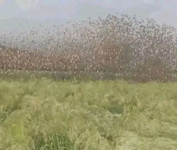 841083411_1987041058650102_1200416382101553945_n