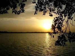የኢትዮጵያ ታሪክ ማስቀመጫ ሳንዱቁ ጣና።