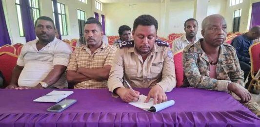በመተማ ወረዳ በጫካ ሲንቀሳቀሱ የነበሩ ታጣቂዎች የሰላም አማራጭን ተቀበሉ።