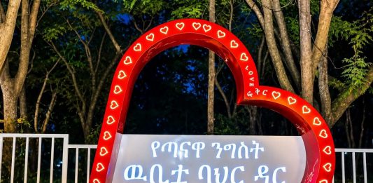 ከቃል እስከ አካል፦ ጣና ዳር የደረሰው የኢትዮጵያ የዲፕሎማሲ ጉዞ።