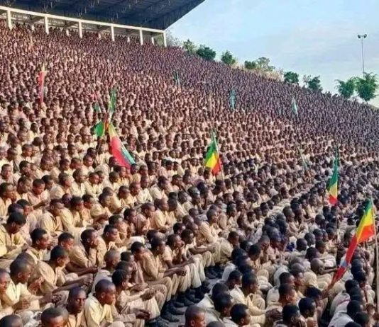 የሉዓላዊነት ዋልታ – ጀግንነትን ከዘመናዊ ቴክኖሎጂ ጋር ያዋሐደ ሠራዊት