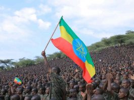 ሰንደቅ ዓላማ የክብር ማኅተም የነጻነት አውራ