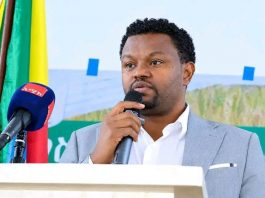 “በአማራ ክልል ከ734 ሺህ ሄክታር በላይ መሬት በበጋ መስኖ ይለማል” መስፍን አበጀ (ዶ.ር)