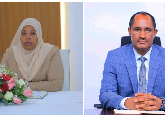 ወይዘሮ ሙፈሪሃት ካሚል የፌደሬሽን ምክር ቤት አፈጉባኤ ኾነው ተመረጡ።